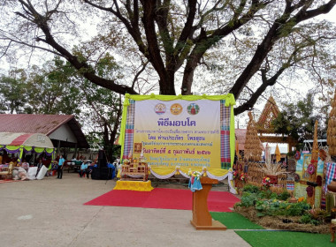“บุญลอมข้าวใหญ่” พารามิเตอร์รูปภาพ 1