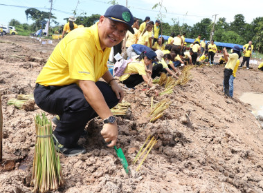 ร่วมกิจกรรมปลูกต้นอัตลักษณ์เมืองขอนแก่น ... พารามิเตอร์รูปภาพ 15