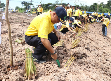 ร่วมกิจกรรมปลูกต้นอัตลักษณ์เมืองขอนแก่น ... พารามิเตอร์รูปภาพ 16