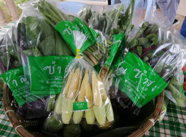 ผู้ว่าราชการจังหวัดขอนแก่น ... พารามิเตอร์รูปภาพ 5