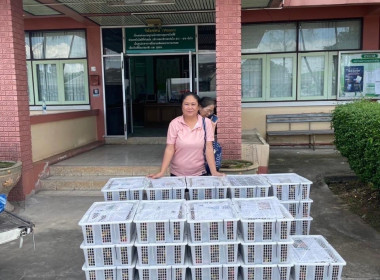 สนับสนุนการจำหน่ายและกระจายผลผลิตทางการเกษตร “มังคุด&quot; ... พารามิเตอร์รูปภาพ 9