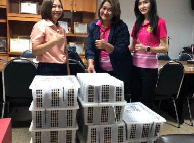สนับสนุนการจำหน่ายและกระจายผลผลิตทางการเกษตร “มังคุด&quot; ... พารามิเตอร์รูปภาพ 1