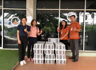 สนับสนุนการจำหน่ายและกระจายผลผลิตทางการเกษตร “มังคุด&quot; ... พารามิเตอร์รูปภาพ 4