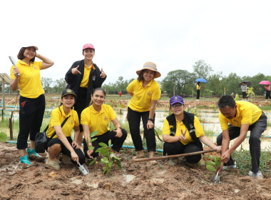 ร่วมกิจกรรมสาธารณประโยชน์ในการ ปลูกต้นไม้เพื่อเฉลิมพระเกียติ พารามิเตอร์รูปภาพ 19