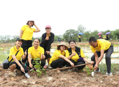ร่วมกิจกรรมสาธารณประโยชน์ในการ ปลูกต้นไม้เพื่อเฉลิมพระเกียติ พารามิเตอร์รูปภาพ 12