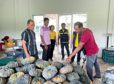 ศึกษาดูงานหาแนวทางในการเชื่อมโยงเครือข่ายการผลิตและการตลาดในการจำหน่ายพืชผัก ... พารามิเตอร์รูปภาพ 4