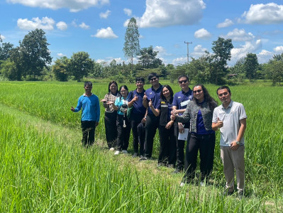 ติดตามผลการดำเนินงานโครงการส่งเสริมเกษตรแบบแปลงใหญ่ ... พารามิเตอร์รูปภาพ 1