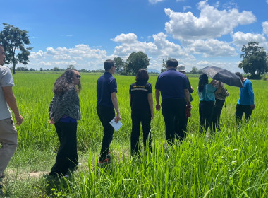 ติดตามผลการดำเนินงานโครงการส่งเสริมเกษตรแบบแปลงใหญ่ ... พารามิเตอร์รูปภาพ 4