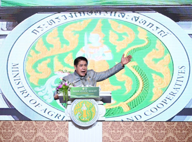 สหกรณ์จังหวัดขอนแก่น ... พารามิเตอร์รูปภาพ 1