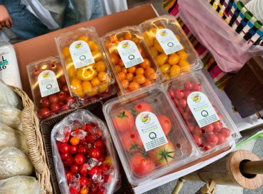 ร่วมพิธีเปิดกิจกรรมส่งเสริมการตลาด “พาณิชย์ พาช็อป @ ... พารามิเตอร์รูปภาพ 7