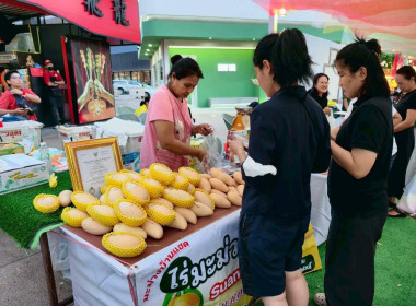 ร่วมพิธีเปิดงานถ่ายทอดเทคโนโลยีการผลิตและการเชื่อมโยงตลาดมะม่วงน้ำดอกไม้สีทองเพื่อการส่งออก ภายใต้ชื่อ “Premium Mango Khonkaen” ... พารามิเตอร์รูปภาพ 11