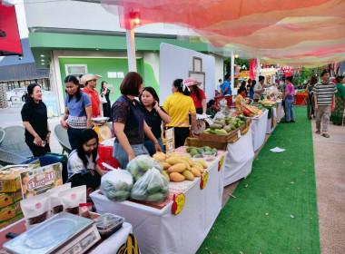 ร่วมพิธีเปิดงานถ่ายทอดเทคโนโลยีการผลิตและการเชื่อมโยงตลาดมะม่วงน้ำดอกไม้สีทองเพื่อการส่งออก ภายใต้ชื่อ “Premium Mango Khonkaen” ... พารามิเตอร์รูปภาพ 8