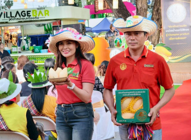ร่วมพิธีเปิดงานถ่ายทอดเทคโนโลยีการผลิตและการเชื่อมโยงตลาดมะม่วงน้ำดอกไม้สีทองเพื่อการส่งออก ภายใต้ชื่อ “Premium Mango Khonkaen” ... พารามิเตอร์รูปภาพ 9