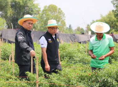 รองอธิบดีกรมส่งเสริมสหกรณ์ ลงพื้นที่จังหวัดขอนแก่น ... พารามิเตอร์รูปภาพ 15