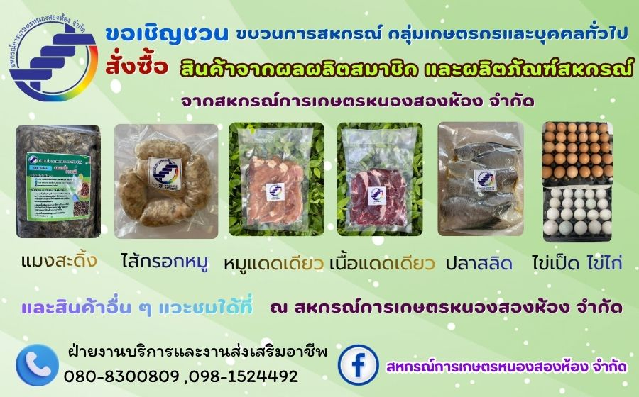 ผลิตภัณฑ์สหกรณ์การเกษตรหนองสองห้อง จำกัด